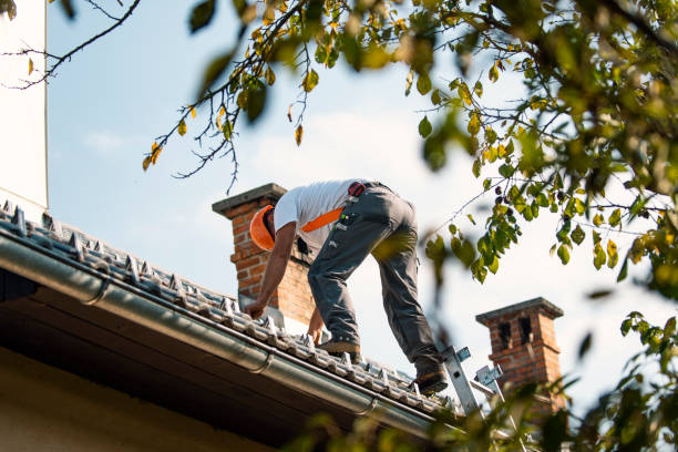 Best Storm Damage Roof Repair  in Lawrenceburg, KY