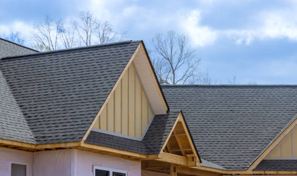 Best Roof Ventilation Installation  in Lawrenceburg, KY